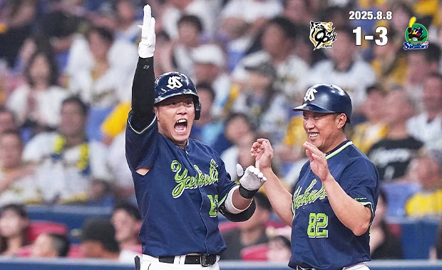 東京ヤクルトスワローズ　YS カーディガン　ブラック　Lサイズ　公式 東京ヤクルトスワローズ YS カーディガン ブラック Lサイズ 公式