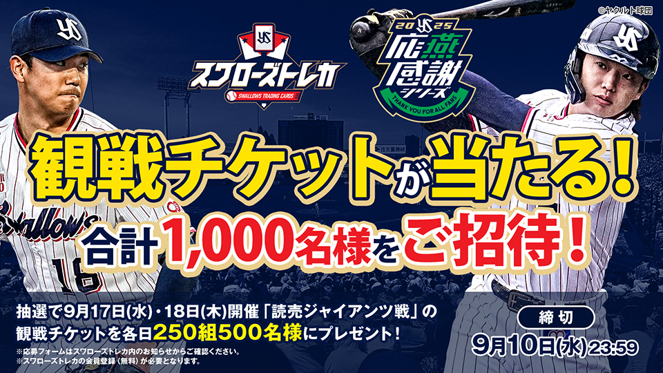 visual_banner