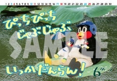 2017つば九郎卓上カレンダー「とうきょうおりんぴっくのますこっとへの