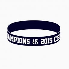 CHAMPIONS」金箔Tシャツ＆優勝「燕」漢字金刺繍キャップを受注販売し 