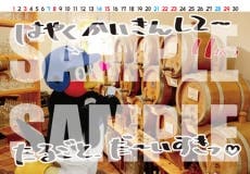 つば九郎卓上カレンダー「つばくろうのかれんなかれんだー。」を販売し つば九郎のかれんだー 2015-2016 カレンダー
