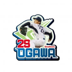 スワローズクルーピンバッジコレクション（全28種類）について