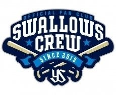 Swallows CREW 2026のマイページがオープン！