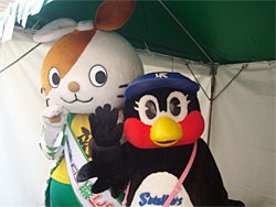 「つばみさんぽ」2014年第14回目として台東区「浅草新仲見世商店街」を訪問します