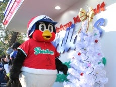 2015年ヤクルトスワローズ 打者３部門アートパネル Amazon.co.jp: アートパネル 東京ヤクルトスワローズ つば九郎 アート