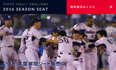 2016年間シートについて