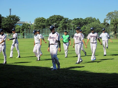 今日も元気です