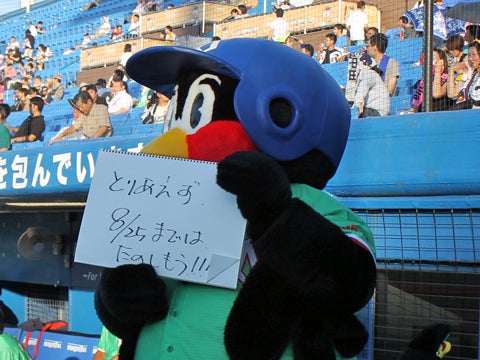 夏休みのアドバイス