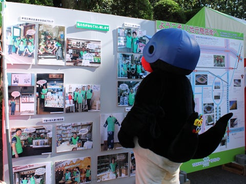 写真パネルの展示