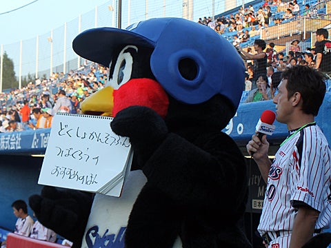 つば九郎のおすすめ