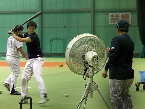 ミストファンが室内デビュー