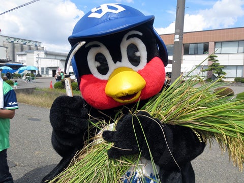 つば九郎はグルメイベントへ