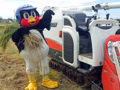 つば九郎が現場総監督?