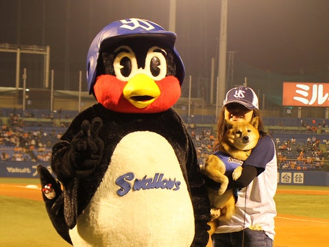 ベースボール犬“わさび”が来場