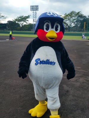 グラウンドにも登場