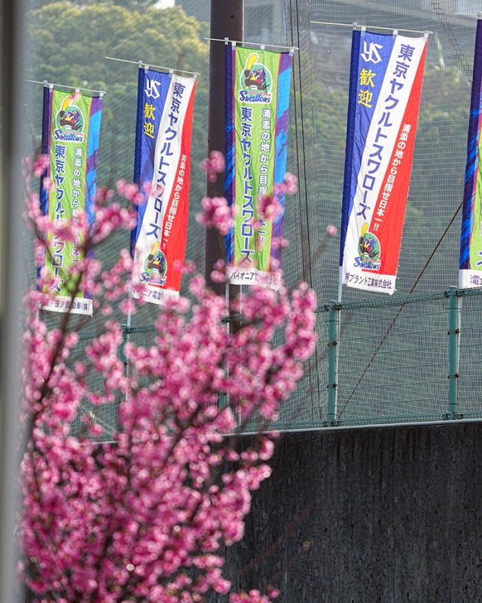 春季キャンプ2026　第4クール6日目⑥