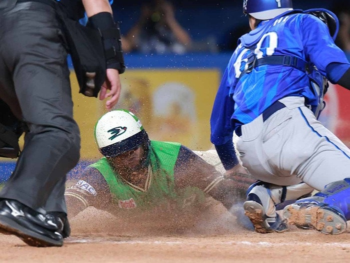 https://www-static.yakult-swallows.co.jp/upload/photo/202608/1786801344_cfb0a55c49fc497dd609.jpg?auto=avif,webp&quality=90