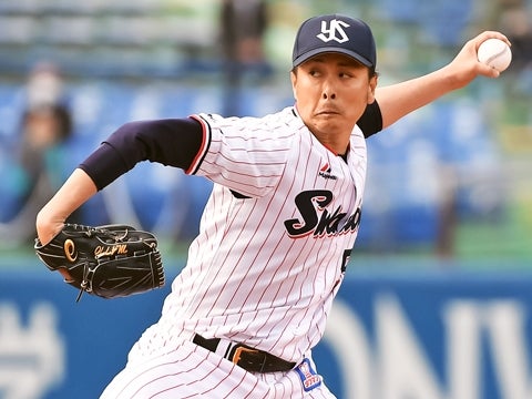 ワンポイントもきっちり