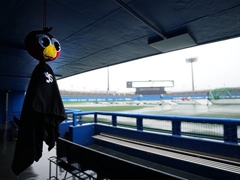 あいにくの天候...