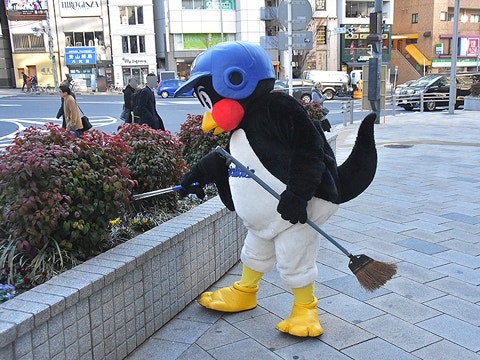 隅々まで | フォトギャラリー | 東京ヤクルトスワローズ