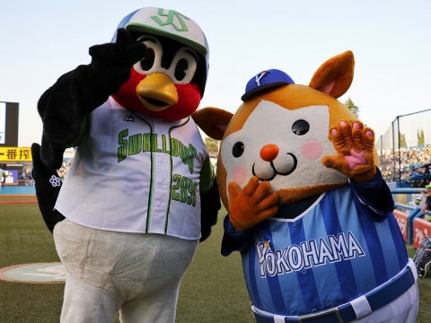 つば九郎&DB.スターマン