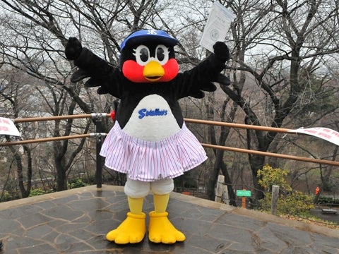 次は晴れてる箱根山に