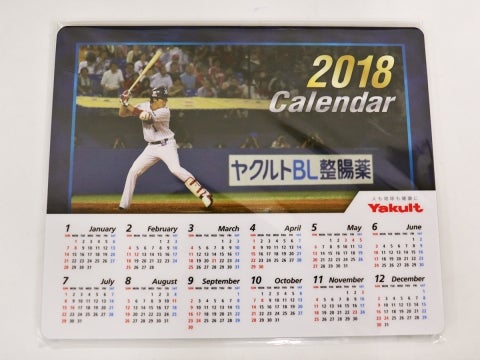 ヤクルトBL整腸薬ナイター