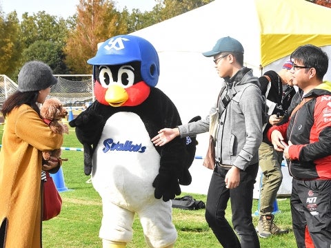 グリーティング