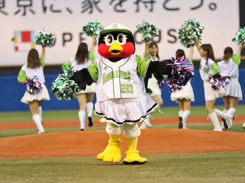 パフォーマンス