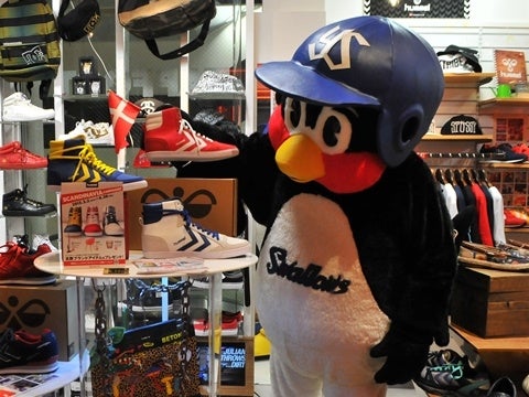 ショップめぐり