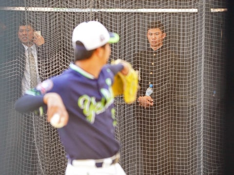 ブルペンも見学