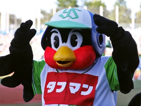 つば九郎もタフマン