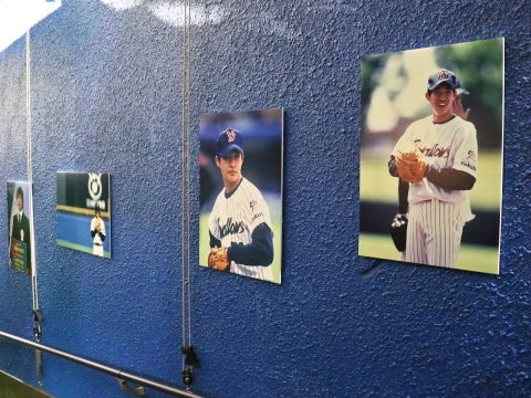 懐かしい写真も