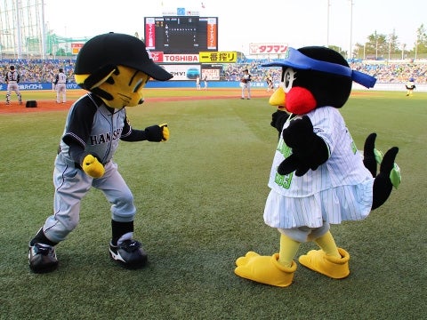 お気に入りの…