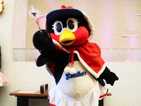 アイドル撮影会も