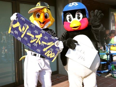 つば九郎&ハリーホーク