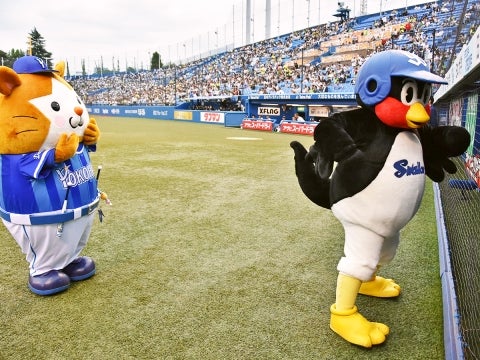 横から見ると…