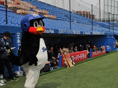 試合前の練習を見学