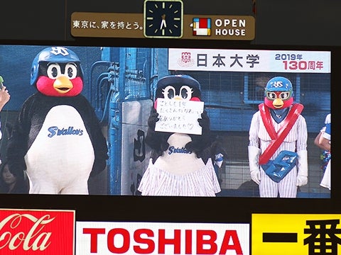 マスコット勢揃い