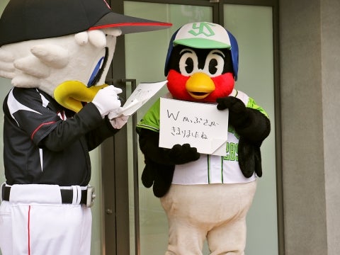 つば九郎&マーくん