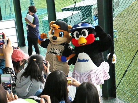 マスコットデー