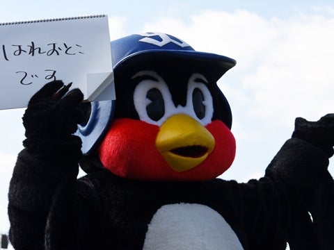 つば九郎が沖縄入り！ | フォトギャラリー | 東京ヤクルトスワローズ