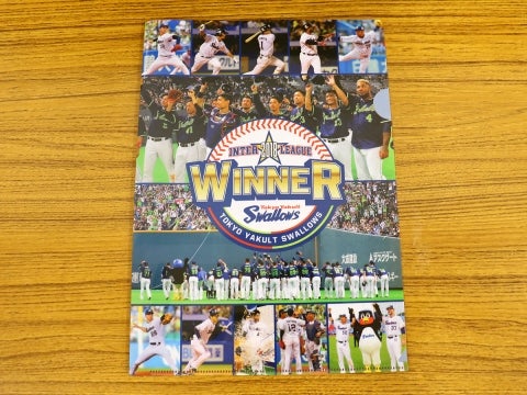 交流戦名場面クリアファイル