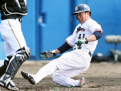 縦横無尽の活躍