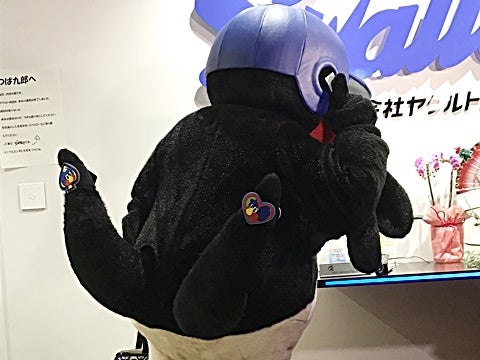 電話も繋がらず…