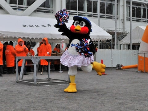 「We Are The Swallows」