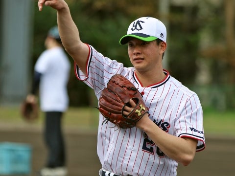 ノック、ベースカバー