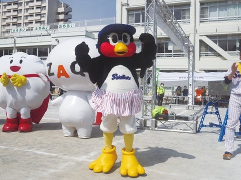 「We Are The Swallows」を披露！