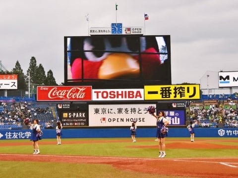 ビジョンいっぱいに