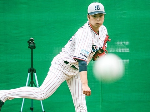 https://www-static.yakult-swallows.co.jp/upload/photo/archive/n-dc02c0c013015700485e403b2ca1aa05.jpg?auto=avif,webp&quality=90